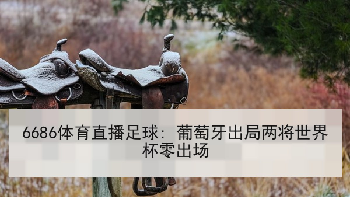 6686体育直播足球: 葡萄牙出局两将世界杯零出场