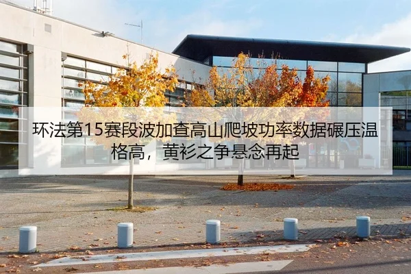 环法第15赛段波加查高山爬坡功率数据碾压温格高，黄衫之争悬念再起