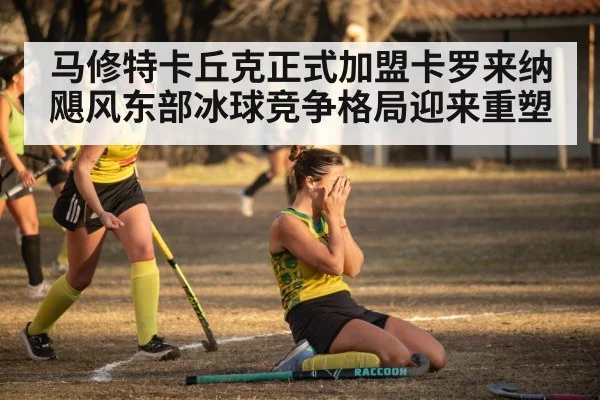 马修特卡丘克正式加盟卡罗来纳飓风东部冰球竞争格局迎来重塑